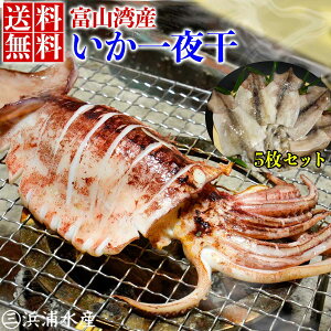 2025N g ( V ) xRpY ߂銱 lO̐HׂTCY5  XCJ ^ 銱 VR  lC xR yY v[g Mtg Hו hV̓ h
