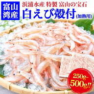 送料無料　富山湾の宝石・富山の名産　白えび殻付き 250g 500g (加熱用) 冷凍 白えび　シロエビ　白海老…