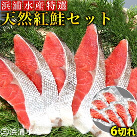 【汐紅鮭】天然 鮭 6切れセット 切り身 お歳暮 御歳暮 お取り寄せグルメ お取り寄せ 冬 父 ギフト 贈り物 シャケ サケ サーモン 夕飯 冷凍 敬老の日 敬老
