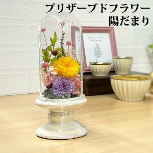 uaṽvU[uht[ z܂@h[^Cv 䋟  i i d Mtg @v    킢  vU[uht[ vU uU KXh[ h