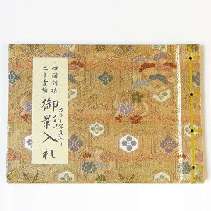 eۑ@lʊi\p J[ʐ^ F@ q ՘H        ߂ ꏄ ʊi 20 \ӏ 88 l O