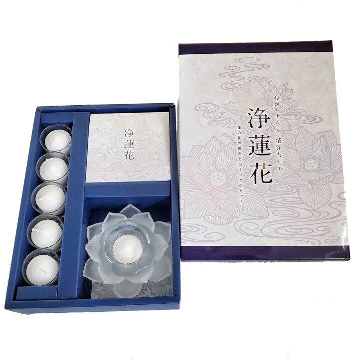 105円 一番の 野菜の種 種子 新コーネル619号 セルリー セロリ セロリー 0.8ml メール便発送 タキイ種苗 105円 一番の 野菜の種 種子 新コーネル619号 セルリー セロリ セロリー 0.8ml メール便発送 タキイ種苗