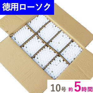 y200~N[|zz 12/4`11zp m[\N 10 i{[l 460{ }GX p Ɩp   䎛@lp  ܂Ƃߔ P[X  ol TCY   [