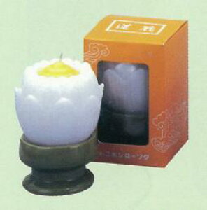 @ԃ[\N@u}@tij@yԔRĂ낤z