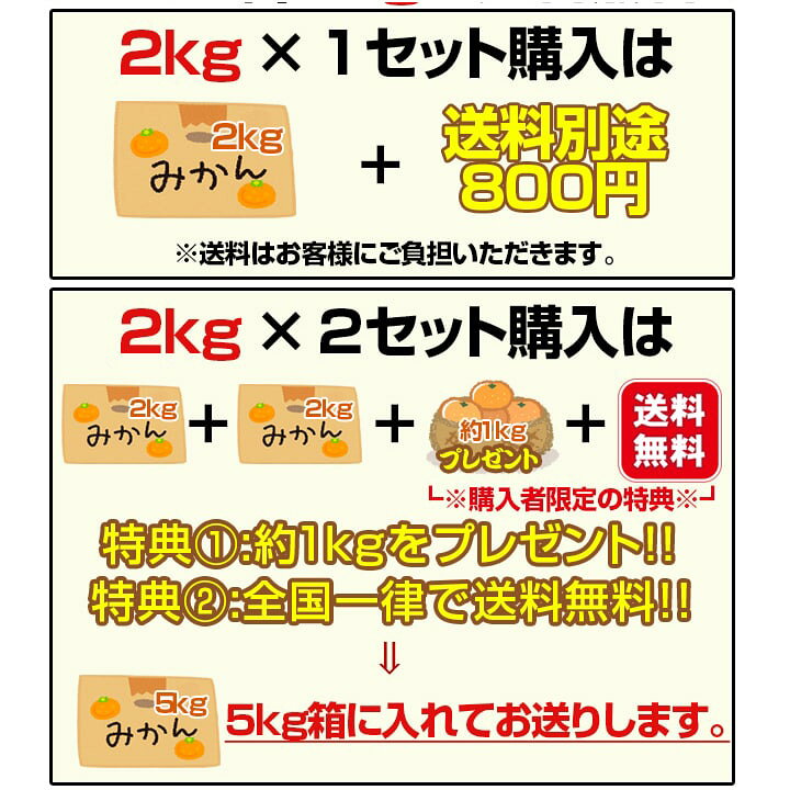 楽天市場】みかん 訳あり 清見 きよみ オレンジ 和歌山県から産地直送  