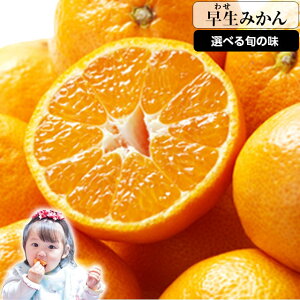 ݂ 󂠂  킹 IW a̎RYnc  2kg 2Zbgwő+1kgv[gII|Cg ݂݂͂