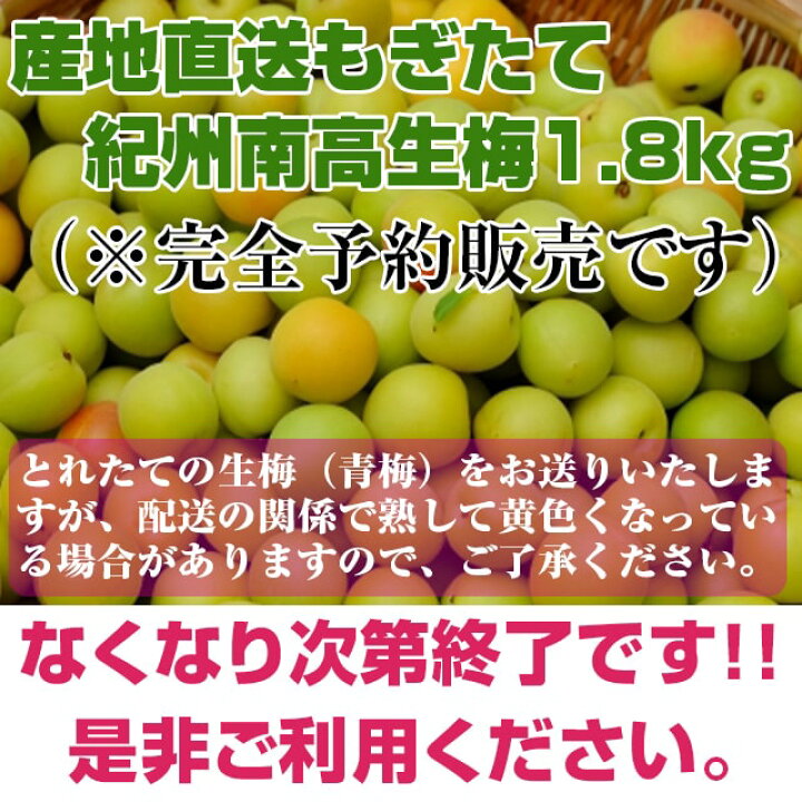 セットアップ 紀州南高梅はねだし梅干 塩分8 450g 4 計1 8kg Tbsショッピング Riosmauricio Com