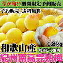 生梅 紀州南高完熟梅 1.8kg 「完熟梅」 和歌山県産 うめ ウメ 梅 梅干し