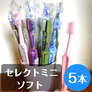 �y���������I�ztepe �e�y ���u���V �Z���N�g�~�j �\�t�g 5�{