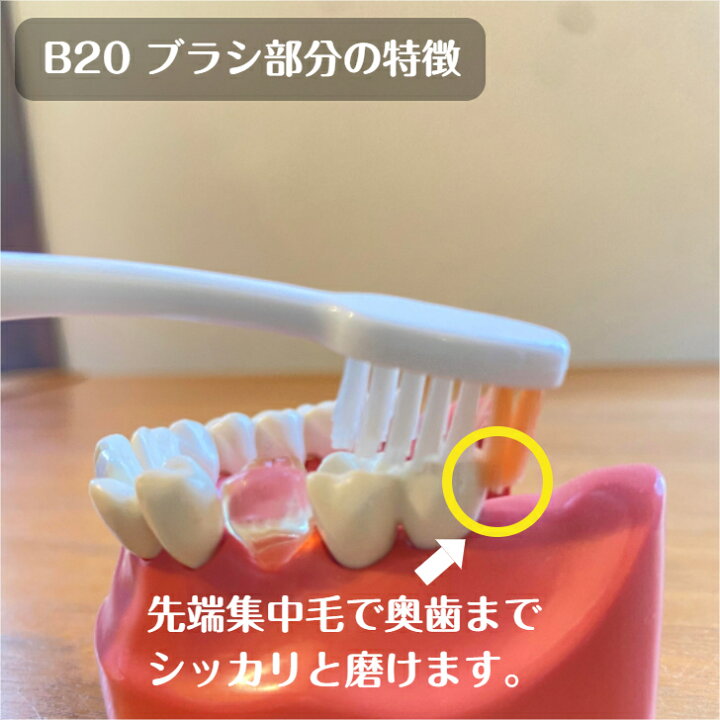 楽天市場】【最大100円OFFｸｰﾎﾟﾝ！】ルシェロ B-20 M S ピセラ 歯ブラシ 