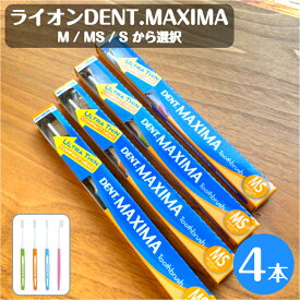 ライオン デント マキシマ 歯ブラシ 4本 ソフト ミディアムソフト ミディアム 選択