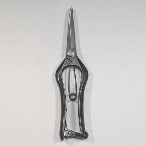 yzyizł@Аn@200mm ~@No.95FVi@~́@͂݁@؂@}؁@~́