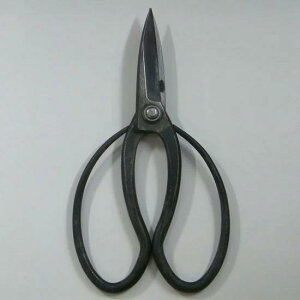 yzyiz v n |ijNO.110B~́@͂݁@A@~͓@@}؂@|@lC@߁@nsꁟ