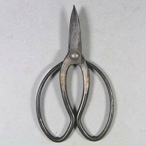 yzyiz v@n@p@205mm@NO.2614͂݁@@A@~͓@@}؂@|@lC@߁@nsꁟ