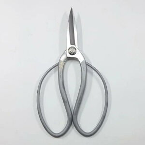 yzyiz~͌^@L^@S185mm@i|jNo.40G^XeX| No.831A~́@͂݁@~͓@@}؂@|@߁@nsꁟ