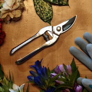 y { vdl z Fukuzen ʎ |̉ KS180S KS200S ES215S XeX ؂ꖡ {nt y y ɂ P n ӂ tN[ Ă nT~ ͂ K[fjO 