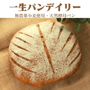 ꐶpfC[`ɂI[KjbNp` VRyp _򏬔 Y _sgp I[KjbN sgp isgp ꏡp ꏡ ꐶp 1 Np Mtg v