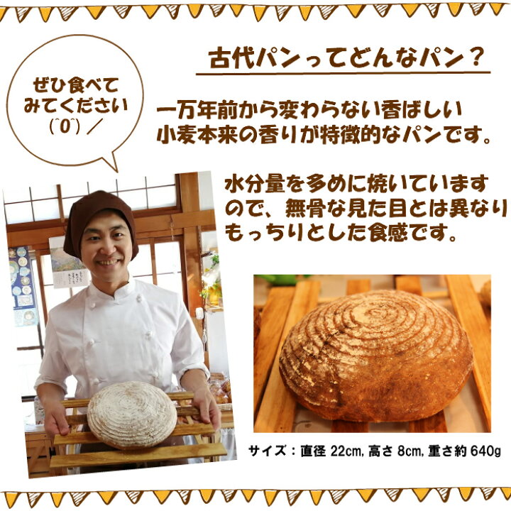 市場 スペルト小麦 スペルト スペルト粉 有機スペルト粉 市場 スペルト小麦 スペルト スペルト粉 有機スペルト粉