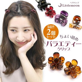 ヘアクリップ 追跡可能メール便★対応【バンスクリップ】ミニマルチクリップ（クリア2個組）［花 フラワー ハート 蝶　クリア ミニ 小さめ ヘアクリップ 結婚式 パーティ ヘアアクセサリー ］［MBL］20141226