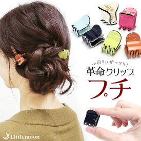 【追跡可能メール便 送料無料】【ヘアクリップ】スマートプチリアム［バンスクリップ アセテート プチ ミニ 小さい バイカラー シンプル ヘアアレンジ 結婚式 ヘッドアクセ ヘアアクセサリー 髪飾り］[MBL] 20191122