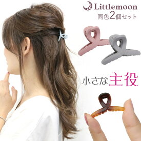 【メール便送料無料】追跡可能メール便【バンスクリップ】リトルサルディ［ループ ループクリップ ヘアクリップ マット クリア 前髪 ミニ プチ 人気30 超軽量 2個セット シンプル サイド ちょい留め 簡単 ヘアアクセサリー ］[MBL] 20210804