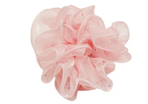 ǐՉ\[֑yVVzqJmVV  ԂVV wAANZ  Cu Xe[W _X J[  ڗANZn[MBL]20250808