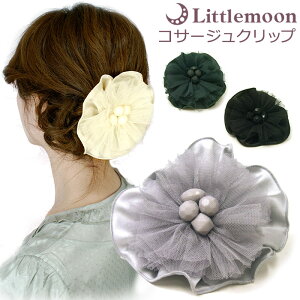 yRT[WNbvz`[t[[ t[ r[Y {[ 傫 傫 [X  p[eB]