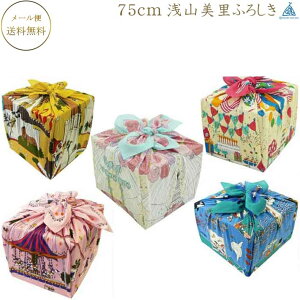 C~ R misato asayama ȓЕC~ 100 75cm ʃTCYC~ ފyӂ낵a EGfBO