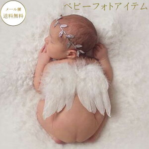 |bL1000~ n[to[Xf[  tHg Ԃ RXv  tHg ObY n[to[Xf[ HVg̉H QA[gp wbhhX q xr[Vg̉HE[twbhh