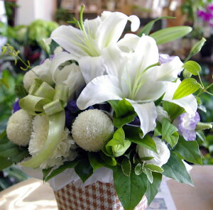 i_ȂAW m _ @ {  ~ V ʖ Q i SAWg y 摜zM zB   @v   l\ 