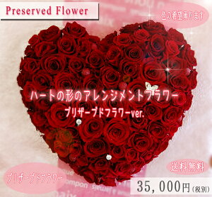 ûȂ֑n[ǧ`̃AWg`t[P[L@vU[uht[Ver.`