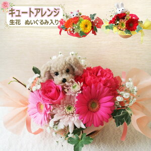 最短 翌日配達 14時まで 【生花】キュートアレンジ【花材はおまかせ】 フラワー アレンジメント お供え 花 ギフト 誕生日 花 女性 プレゼント ハロウィン