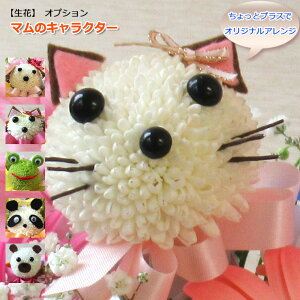 ŒZ zB 14܂Łi y jԃAWgɃIvVpy}̃LN^[z ̏i͒Pił̂͏܂ j  o^C Mtg v[g t 