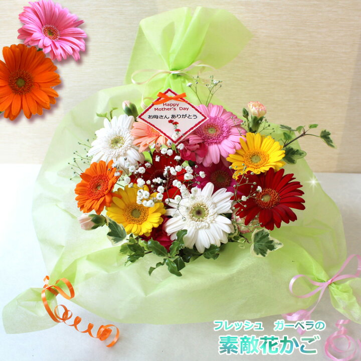 送料無料 一部地域を除く カラーが選べるガーベラ50本の花束 誕生日 女性 プレゼント ギフト 絶妙なデザイン