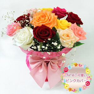 y  z _[Y[Y  AWgԑ ԑ  a  ~  Mtg v[g  ~bNX o KN [Y j nEB NX}X vw̓ A