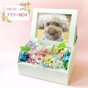 vU[uht[AWytHgt[tt[BOXz av[g  a Mtg oYj t[AWg  ~  LO j v[g t hV