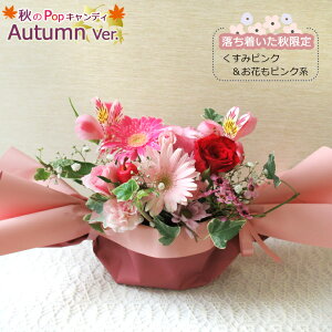 ŒZ zB 14܂ y  zPopLfB(v`bZ[Wt) ԑ  a t[AWg   Mtg v[g    Ε  o KN [