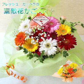 【 生花 】フレッシュ・ ガーベラ の花カゴSサイズ、Mサイズ ・Mサイズ花束 父の日 花束 贈答 プレゼント 誕生日 花 ギフト 誕生日プレゼント フラワーアレンジメント お祝 送料無料(一部地域を除く)