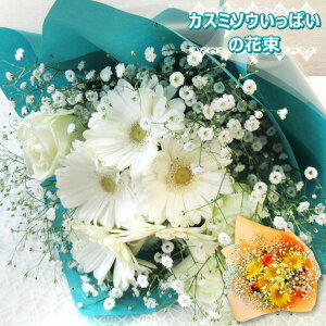 y  zy JX~\Eς̉ԑ z ԑ  a  v[g Mtg o KN [Y av[g  l j ̓ vw̓ Ƃ hV