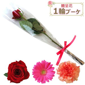 1փu[P ƎEeCxgɁyi1{łz10{ȏły1փu[Pzo ԑ  J[l[V K[x p[eB[EƎEӉEEe 