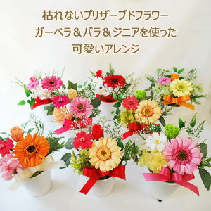 new! vU[uht[AWyK[xoWjÃAWzyav[g zy Mtg azyoYjzyz yLOzj a t[A