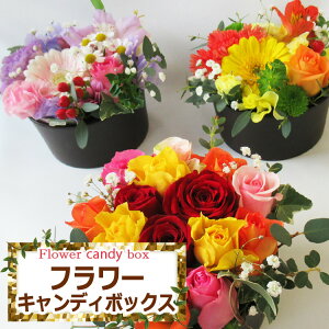 ŒZ zB 14܂  new!yt[LfB{bNXzDȕ͋C̃AWgIׂ܂ B ԑ  a  nEB vw̓  Mtg av[