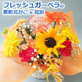 ひまわり入り【 生花 】フレッシュ・ ガーベラ の花カゴSサイズ、Mサイズ ・Mサイズ花束 父の日 花束 贈答 プレゼント 誕生日 花 ギフト 誕生日プレゼント フラワーアレンジメント お祝 送料無料(一部地域を除く)