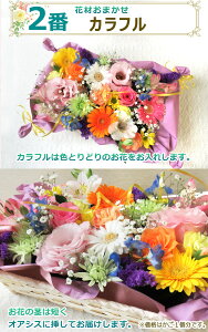 ŒZ zB 14܂ yԁzԁEʂ̂ t[AWg  ~   ybg  L Mtg Ĥފ ފ U CmU ybĝʂ 