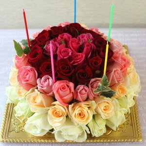 yԁz [YdeP[L(5`8)ut[P[L V[Yv a  Mtg AWg K[x J[l[V o v[g  aP[L KN j nEB N