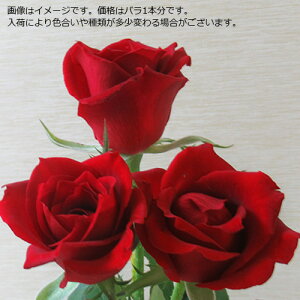 yԁzỏԑ 10{`108{܂ŐFƖ{wOKIy19{瑗(ꕔn)z a  ԑ  v[g aLÔj Mtg o KN [Y nEB