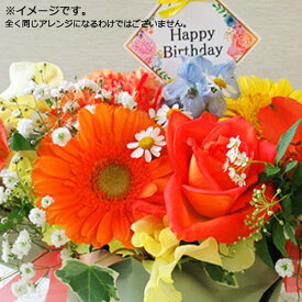 最短で翌日配送（14時まで）【 生花 】Popキャンディ(プチメッセージ付き) 誕生日 フラワーアレンジメント お供え 花 ギフト プレゼント お供え 敬老の日 生花 女性 バラ 送料無料 (一部地域を除く)