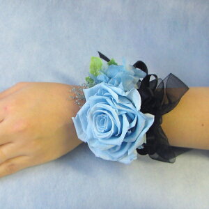 yÃXgu[PzPiiu[gjA͕ʔłjvU[uht[@uC_@Xgbg RT[W^Ep[eB[EEƎEӉE@u[P u