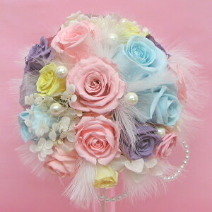 iꕔnjyv[gtz Ehu[P@I[_[Chyt@[ƃp[̃u[~bNXza20cmvU[uhEu[P uC_u[P 23000E