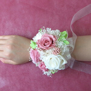 iꕔnjy[Y5ւ̃Xgu[PPizvU[uht[@uC_@Xgbg RT[W^ v p[eB[